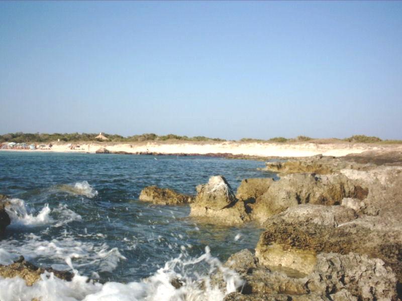 16 - Formentera Coast.jpg